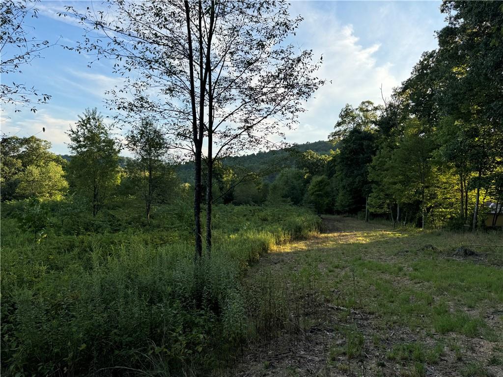 0 Wida Road Indiana, PA 15701 - Photo 13 of 16