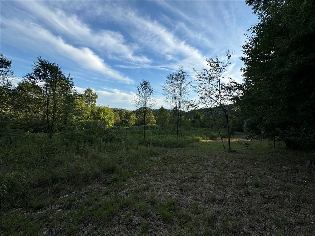 0 Wida Road Indiana, PA 15701 - Photo 14 of 16