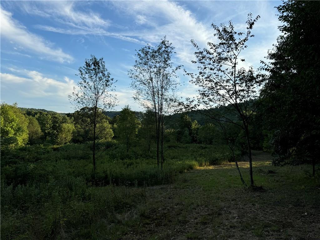 0 Wida Road Indiana, PA 15701 - Photo 15 of 16
