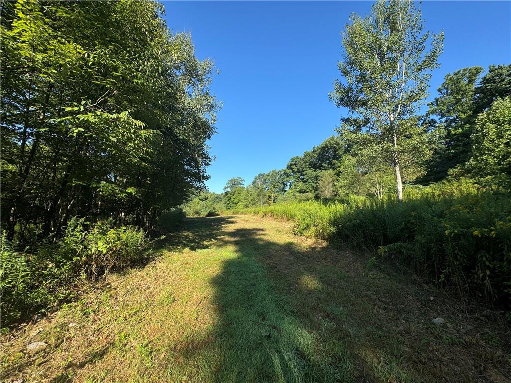 0 Wida Road Indiana, PA 15701 - Photo 2 of 16