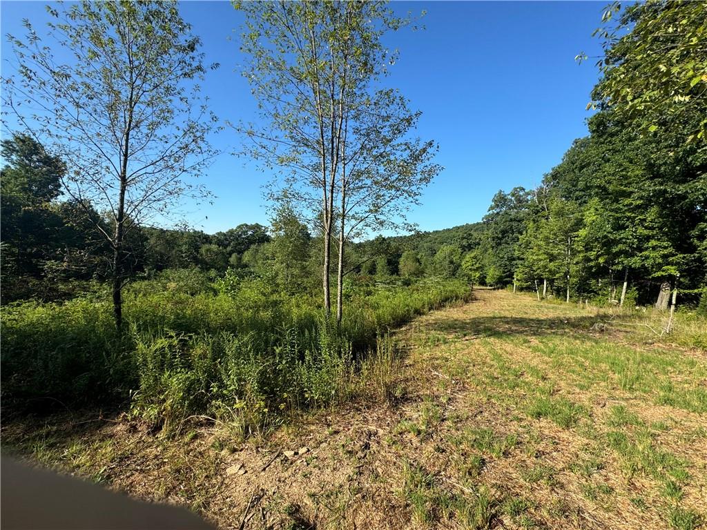 0 Wida Road Indiana, PA 15701 - Photo 3 of 16