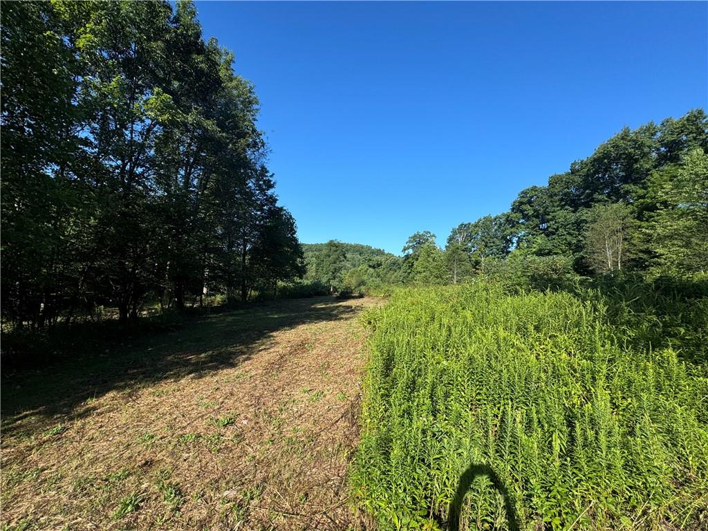 0 Wida Road Indiana, PA 15701 - Photo 4 of 16