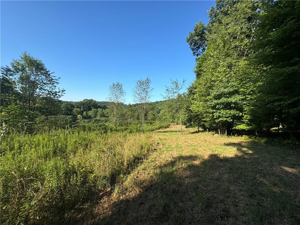 0 Wida Road Indiana, PA 15701 - Photo 5 of 16