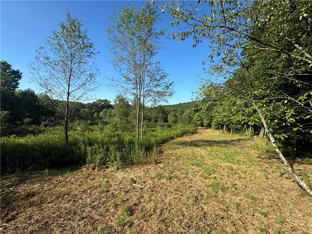 0 Wida Road Indiana, PA 15701 - Photo 6 of 16