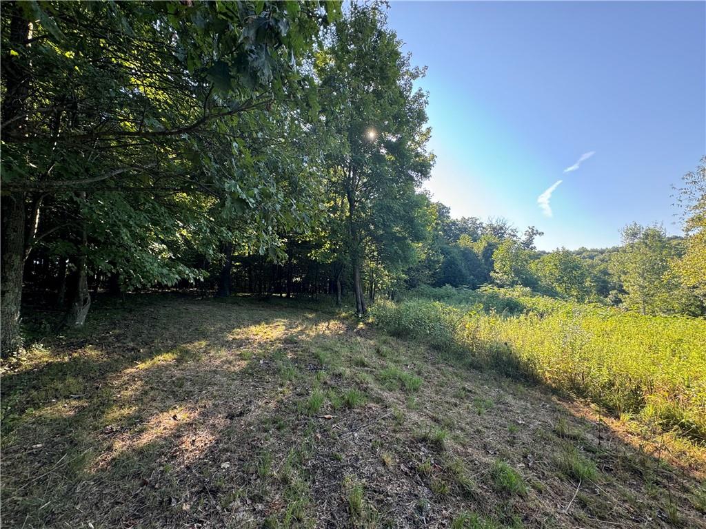 0 Wida Road Indiana, PA 15701 - Photo 7 of 16