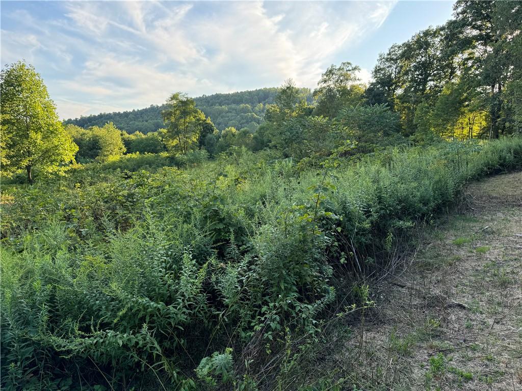 0 Wida Road Indiana, PA 15701 - Photo 8 of 16