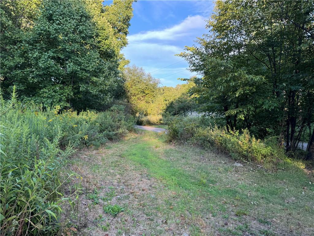 0 Wida Road Indiana, PA 15701 - Photo 9 of 16