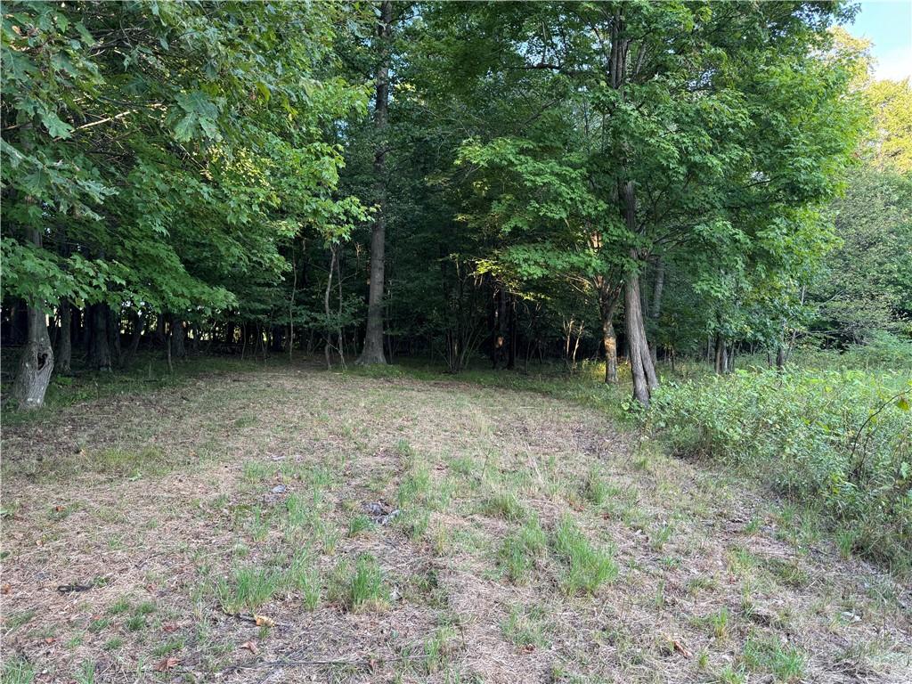 0 Wida Road Indiana, PA 15701 - Photo 10 of 16