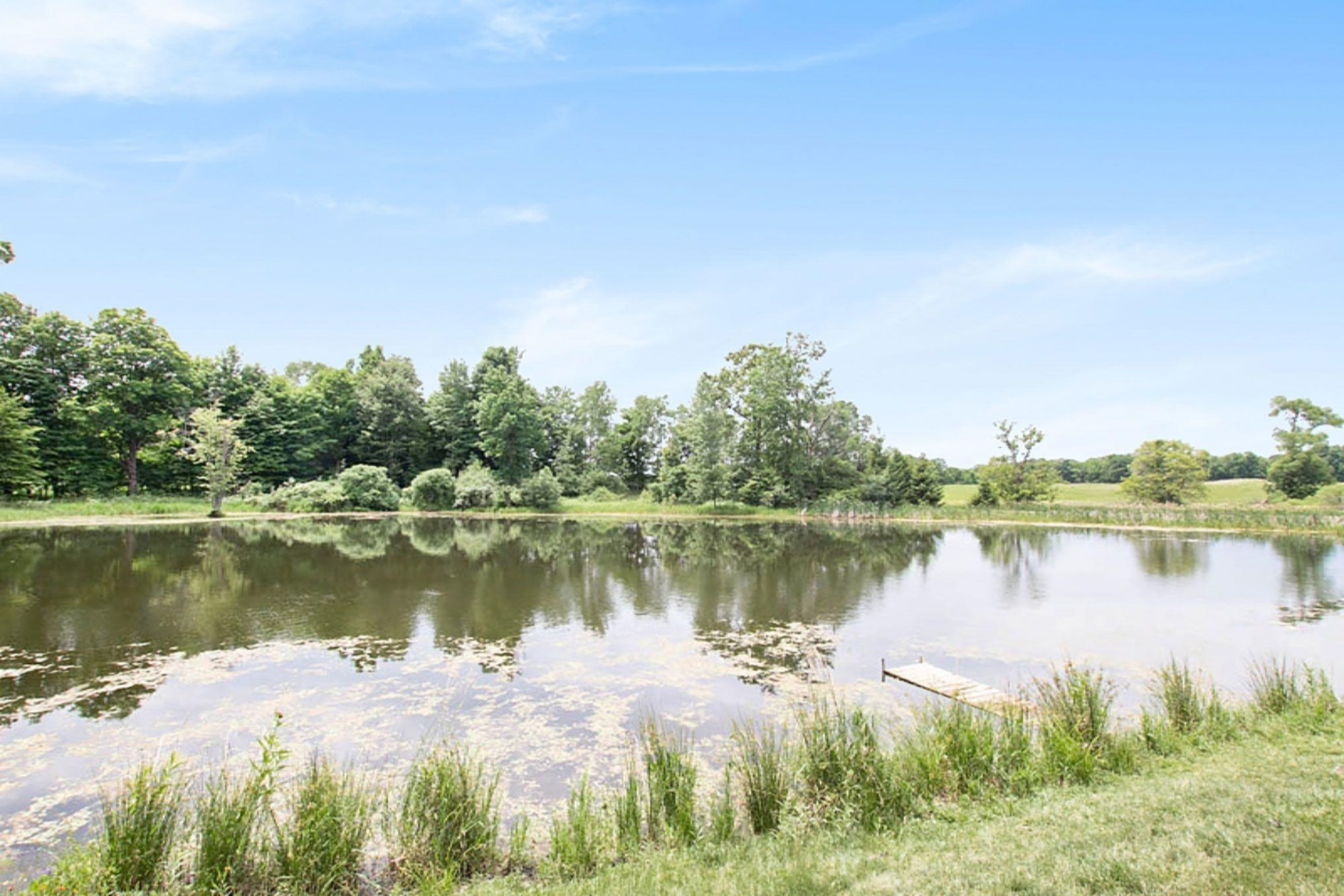 10354 North Backus Road Lakeview, MI 48850 - Photo 3 of 39 pond2