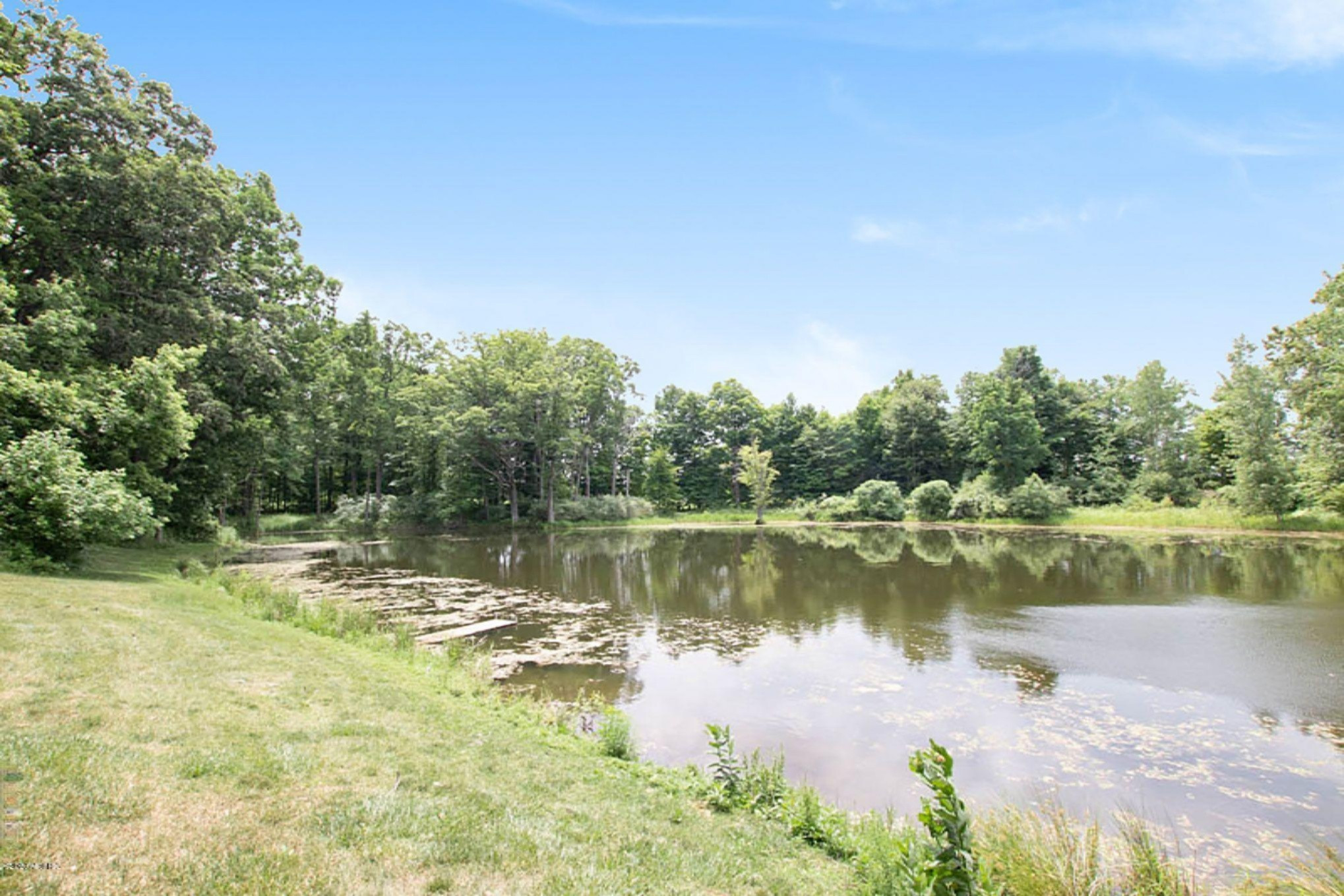 10354 North Backus Road Lakeview, MI 48850 - Photo 39 of 39 pond3