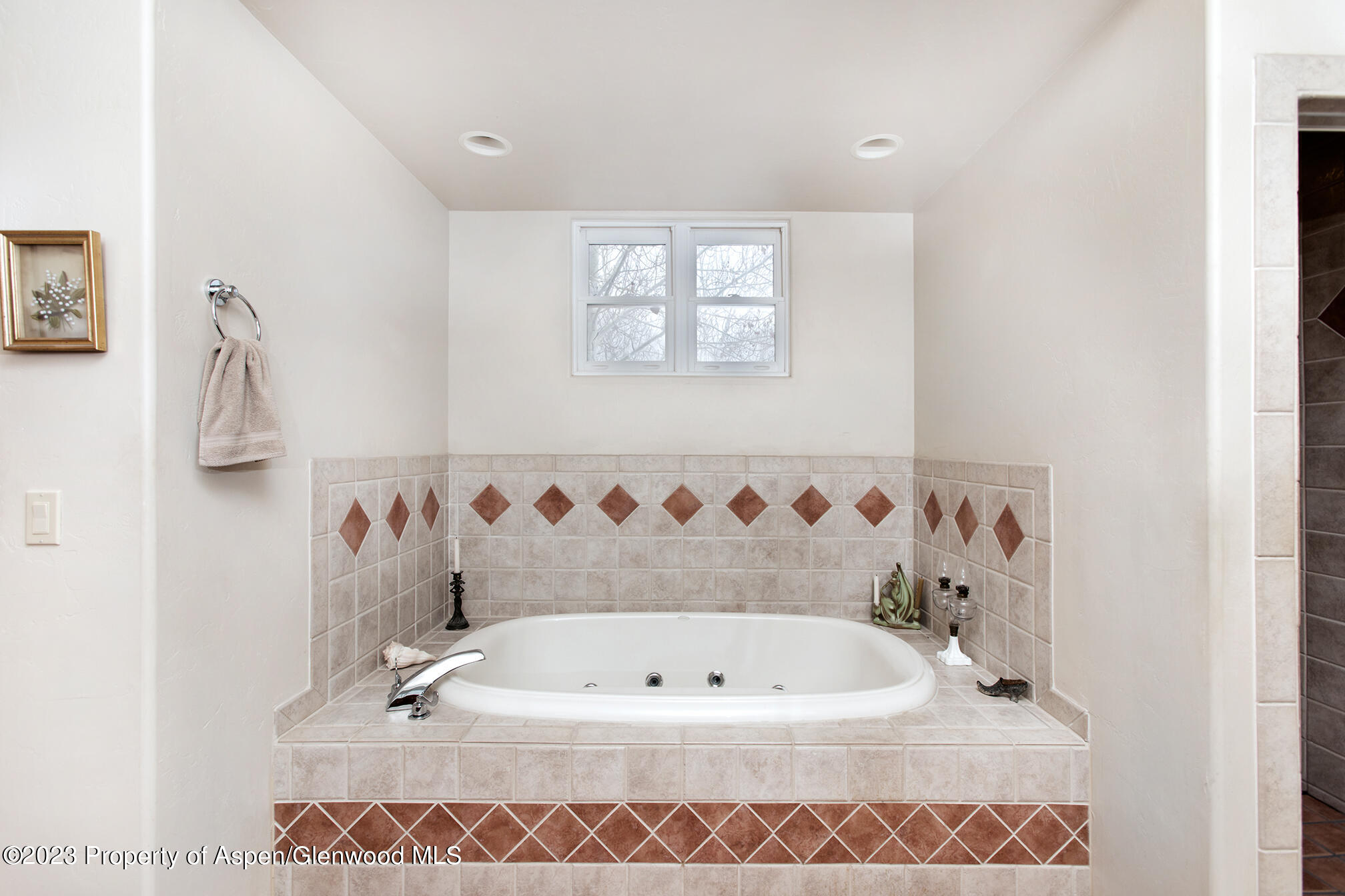 764 Promontory Lane Basalt, CO 81621 - Photo 17 of 18 AY6A8441