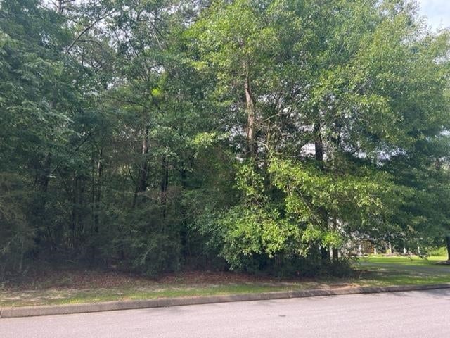 Tbd Shannan Road Opp, AL 36467 - Photo 7 of 20 Gallery Image 7