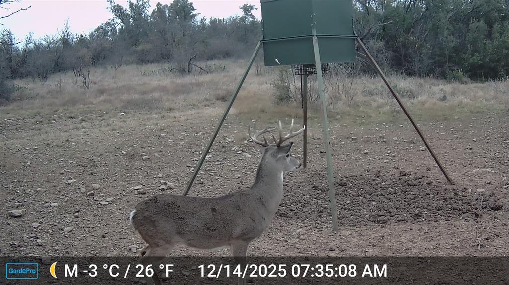 2117 Highway 6 Cisco, TX 76437 - Photo 33 of 35 a view of outdoor space