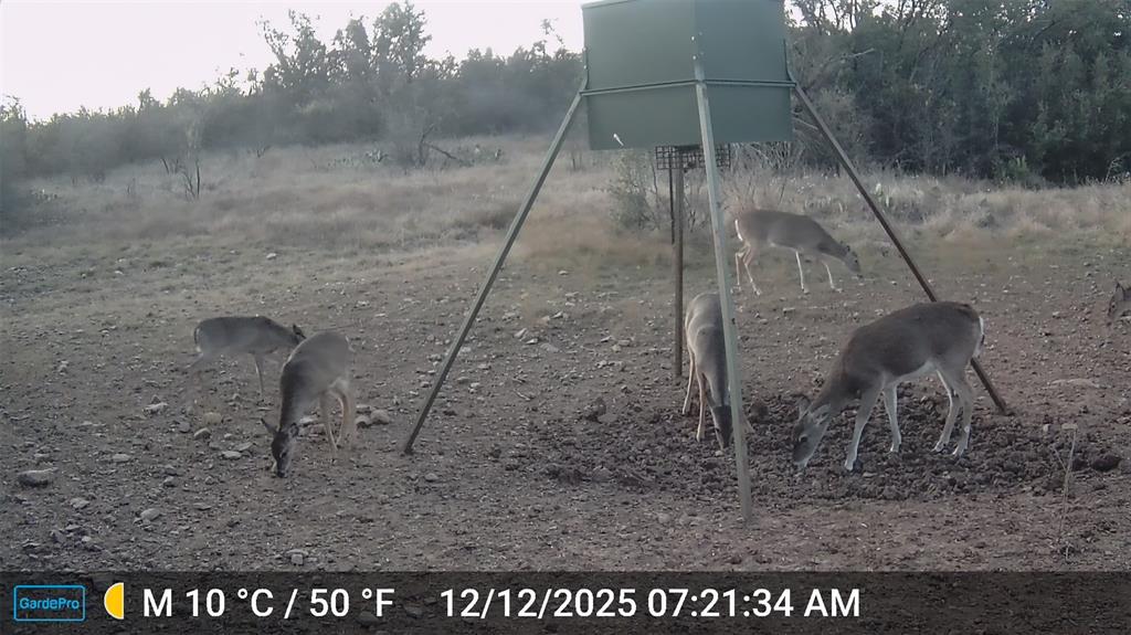2117 Highway 6 Cisco, TX 76437 - Photo 34 of 35 a view of a yard