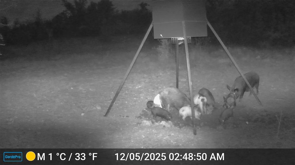 2117 Highway 6 Cisco, TX 76437 - Photo 35 of 35 a view of a glass door