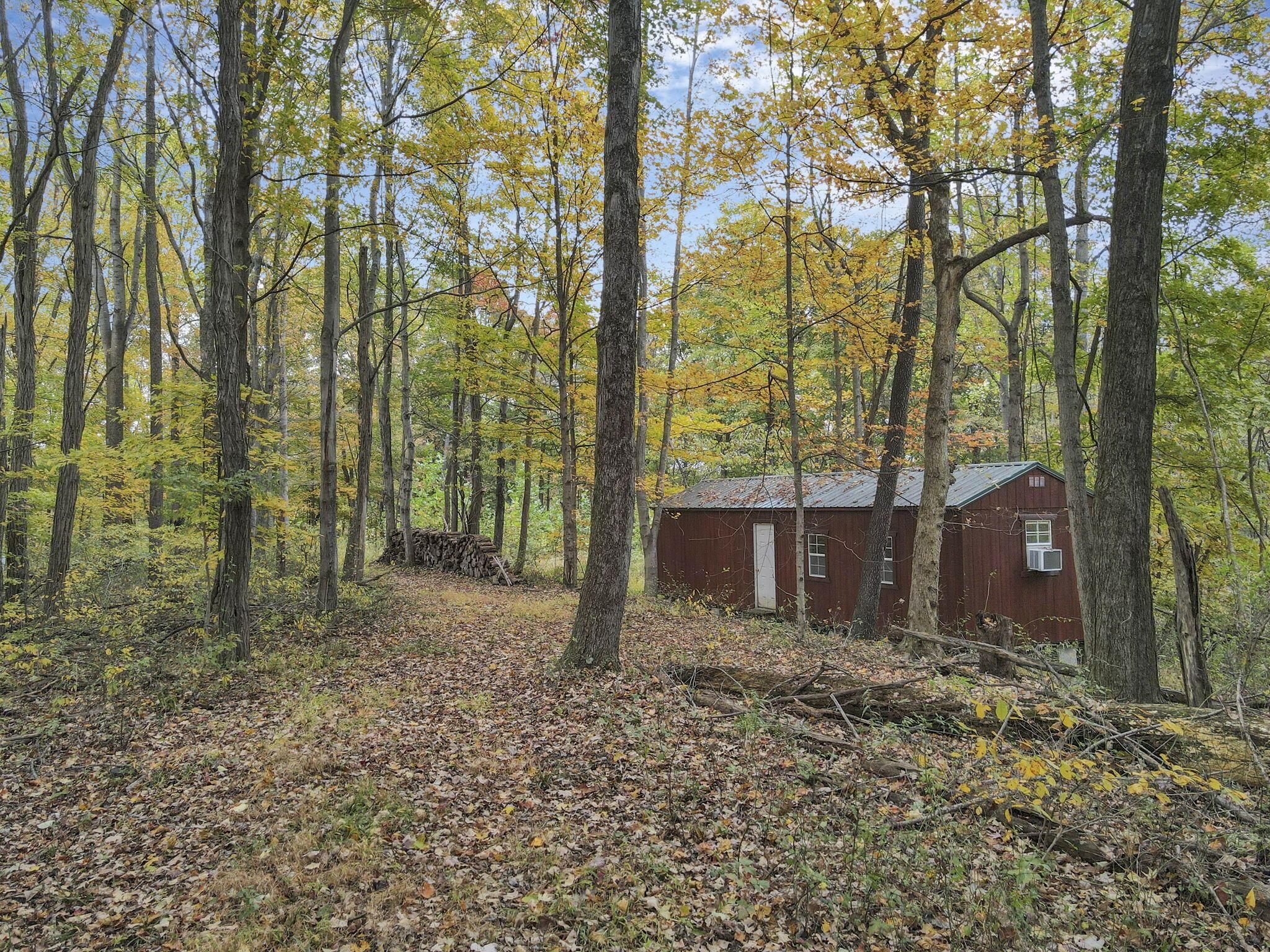 9600 Larimer Road Logan, OH 43138 - Photo 23 of 69 1-web-or-mls-DJI_0977