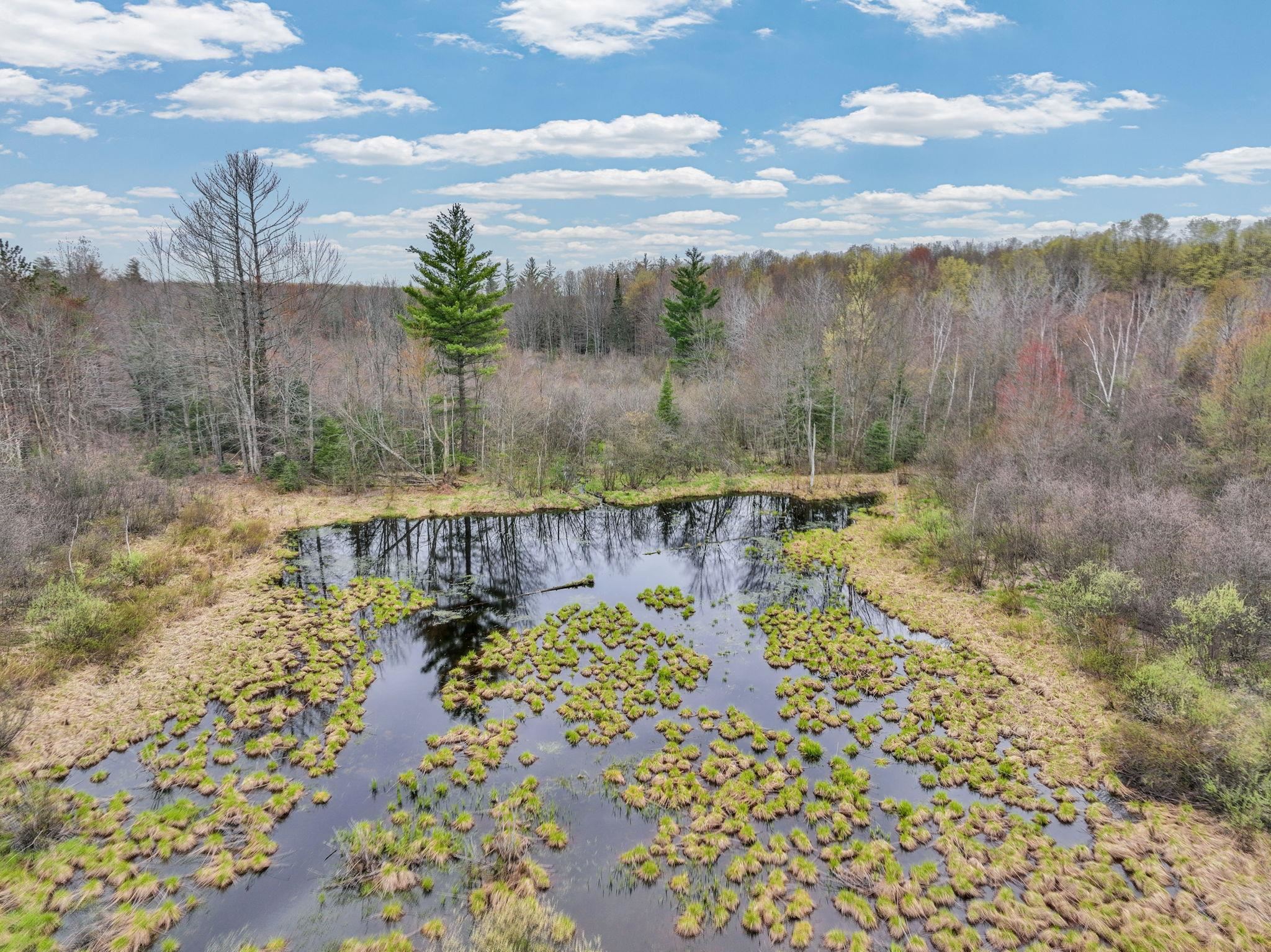 712 East 38 Road Cadillac, MI 49601 - Photo 8 of 67