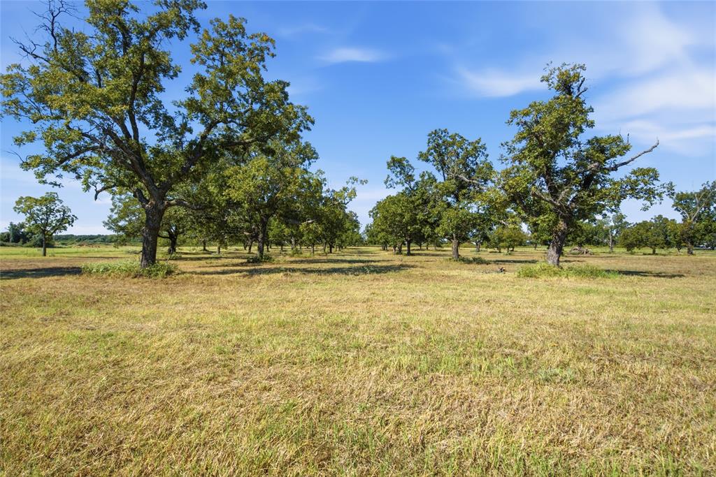 Tbd Clary Road Millsap, TX 76066 - Photo 9 of 16 Gallery Image 9