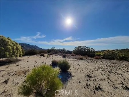 0 Tule Peak Road Anza, CA 92539 - Photo 6 of 18 Gallery Image 6