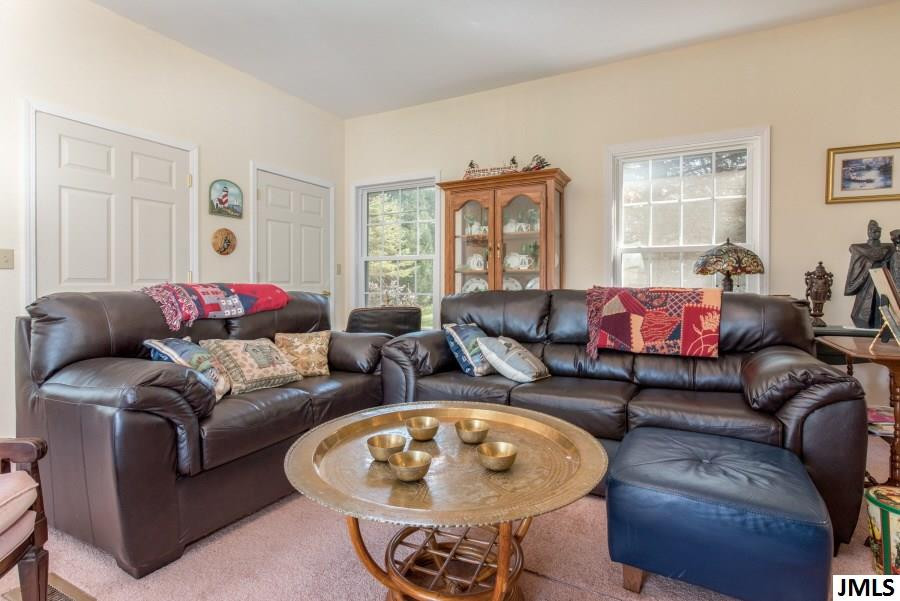 8834 North Meridian Road Pleasant Lake, MI 49272 - Photo 5 of 27 Photo 5