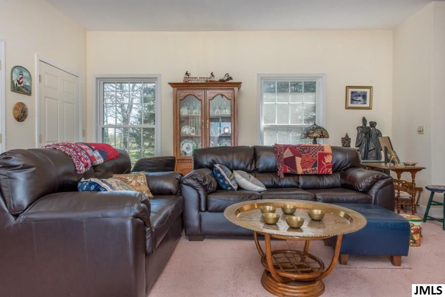 8834 North Meridian Road Pleasant Lake, MI 49272 - Photo 6 of 27 Photo 6