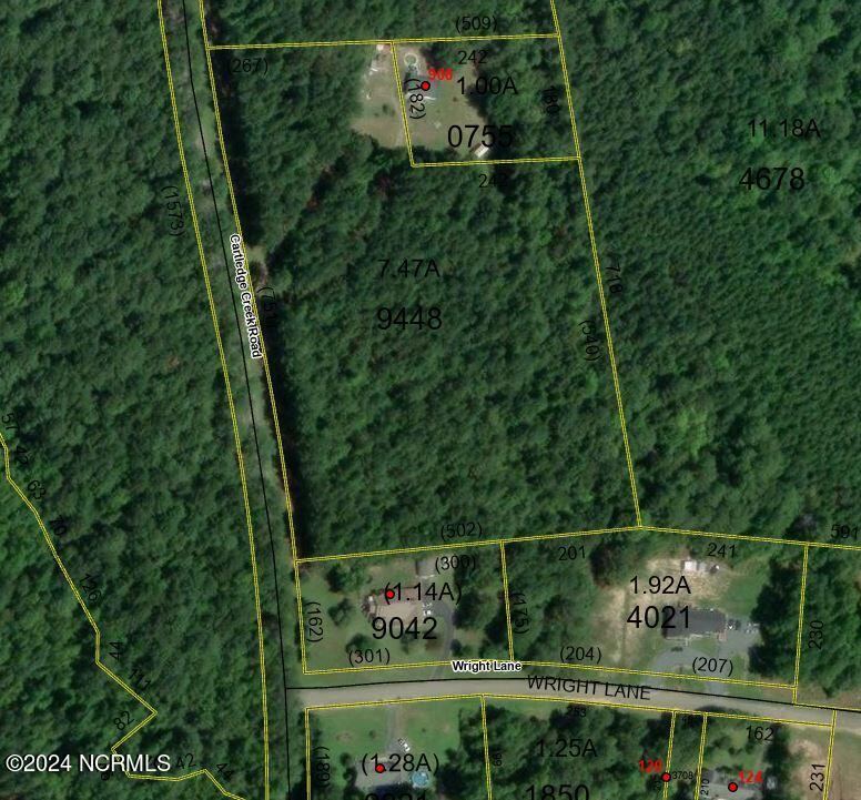 Tbd Cartledge Creek Road Rockingham, NC 28379 - Photo 1 of 1 cartledge creek rd
