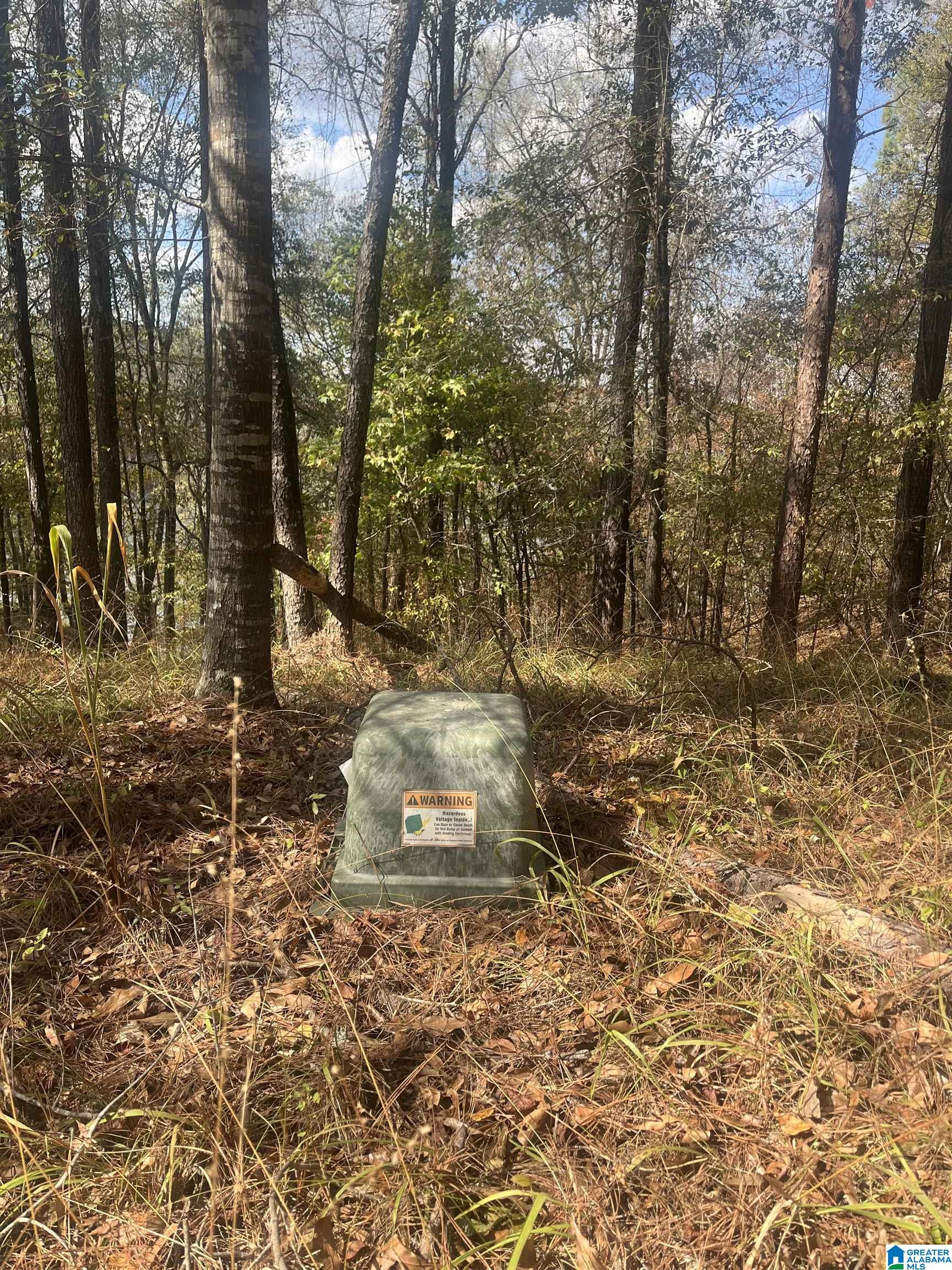 Eagle Port Road, Unit 7&8 Quinton, AL 35130 - Photo 11 of 12