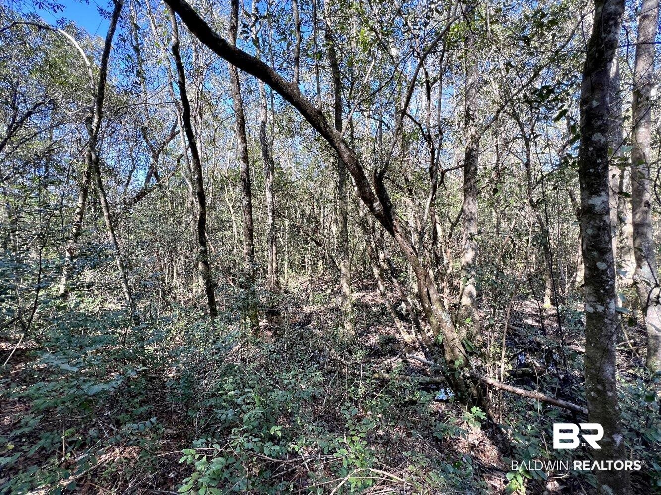 0 Dixon Road Bay Minette, AL 36507 - Photo 35 of 50