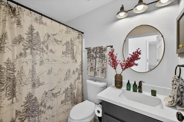 a bathroom with a sink toilet vanity and shower