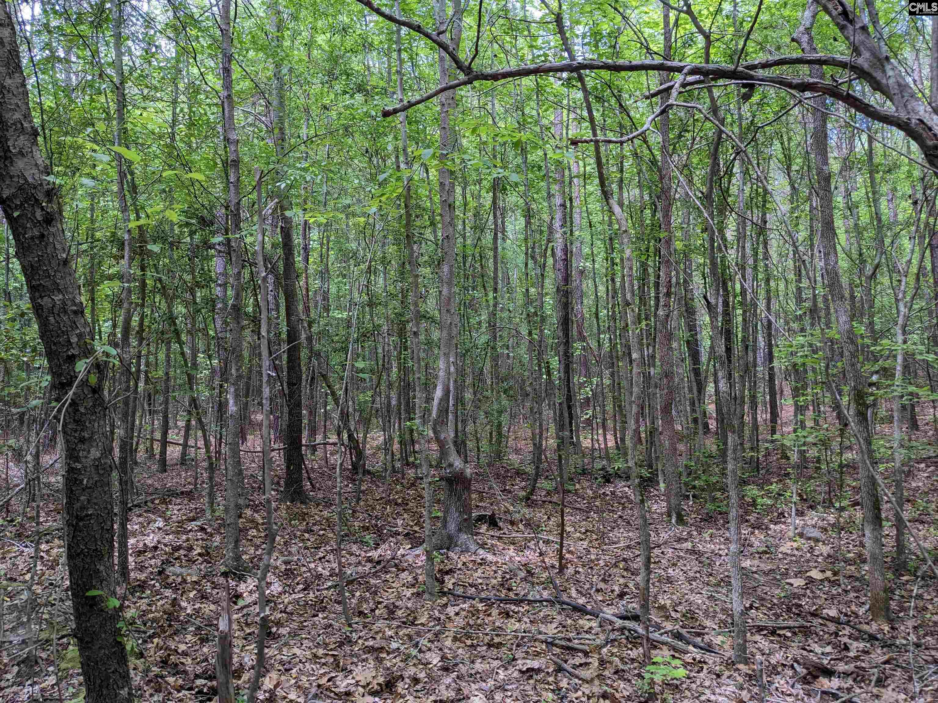 Syrup Mill Road Ridgeway, SC 29130 - Photo 2 of 33