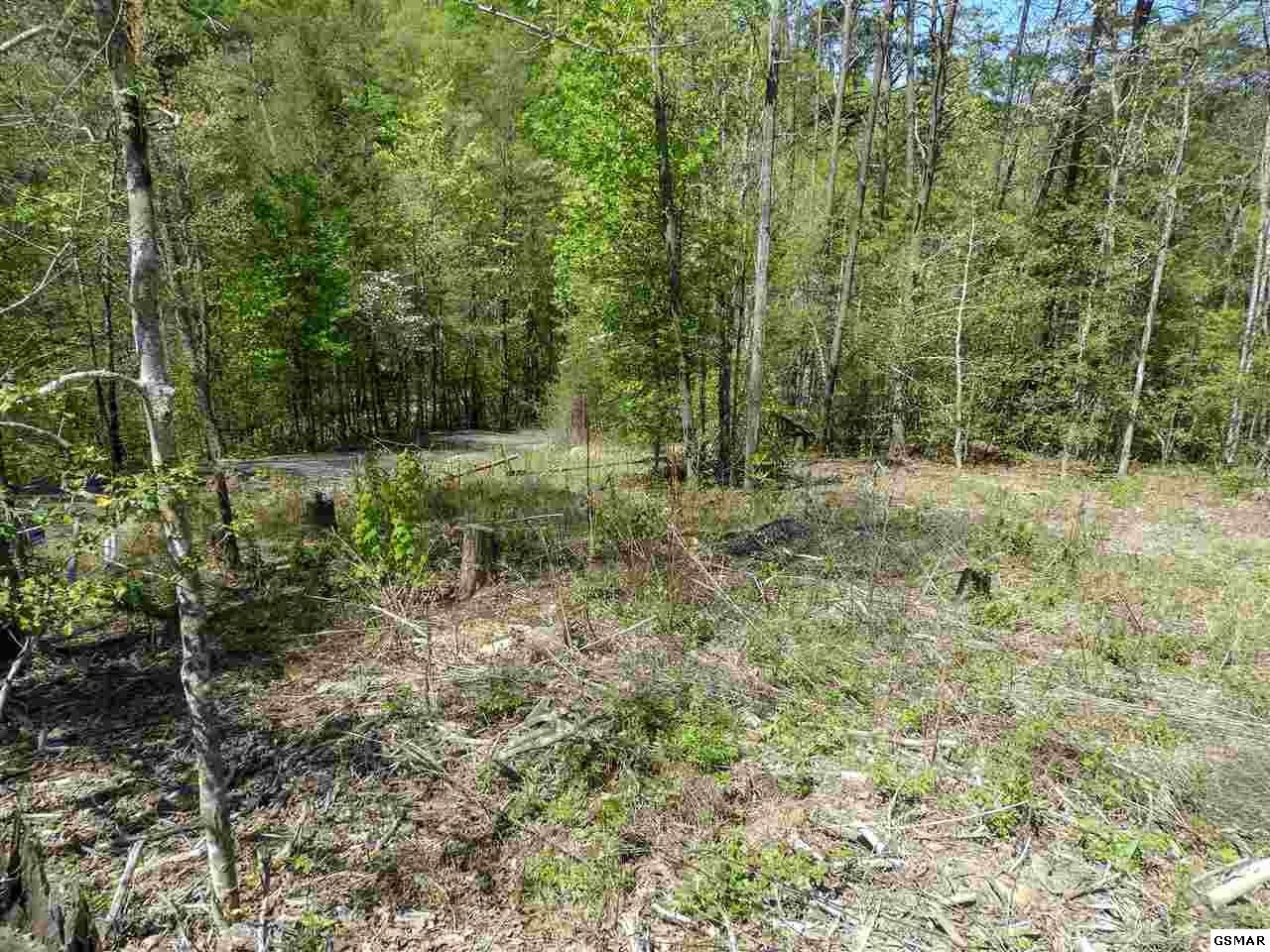 7 Old Birds Creek Road Sevierville, TN 37876 - Photo 11 of 15