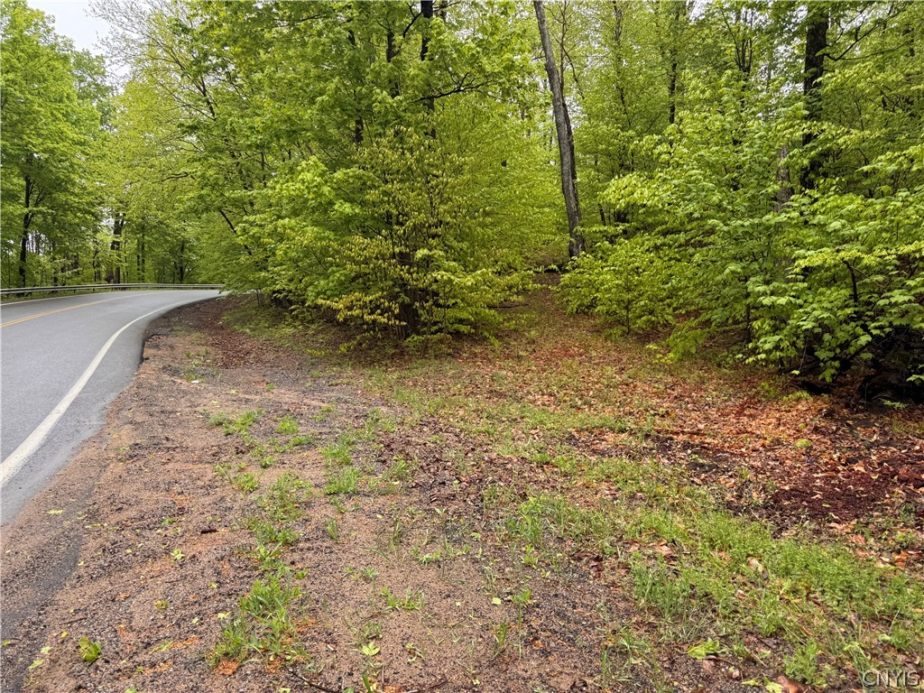 0 Hawkinsville Road Woodgate, NY 13494 - Photo 9 of 27
