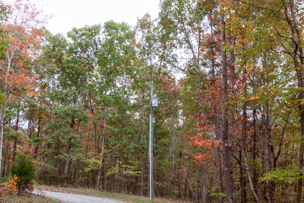 189 Highway Rising Fawn Ga 30738 Rising Fawn, GA 30738 - Photo 6 of 7 a view of a forest from a tree