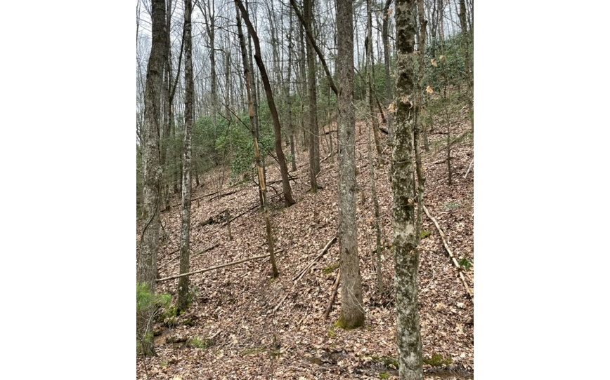 Tbd Annie Jones Road Murphy, NC 28906 - Photo 5 of 11 Additional View