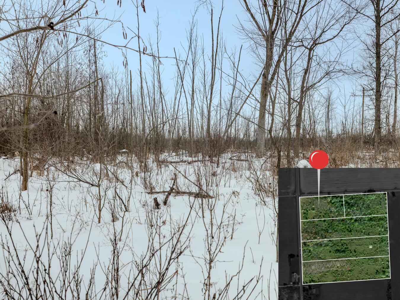 Lot A Ubly Road Snover, MI 48472 - Photo 7 of 7 12