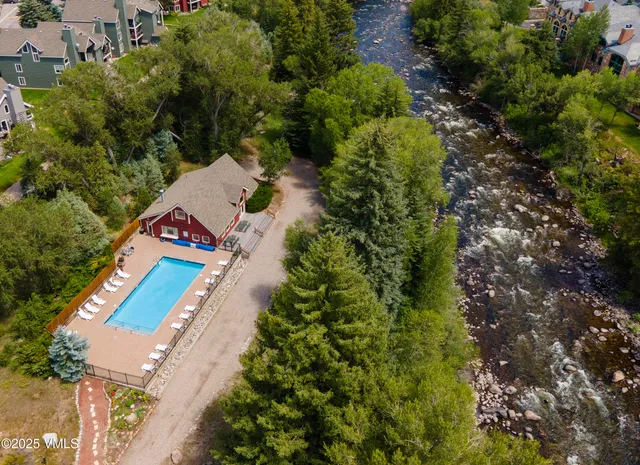 a view of a yard with plants and large trees