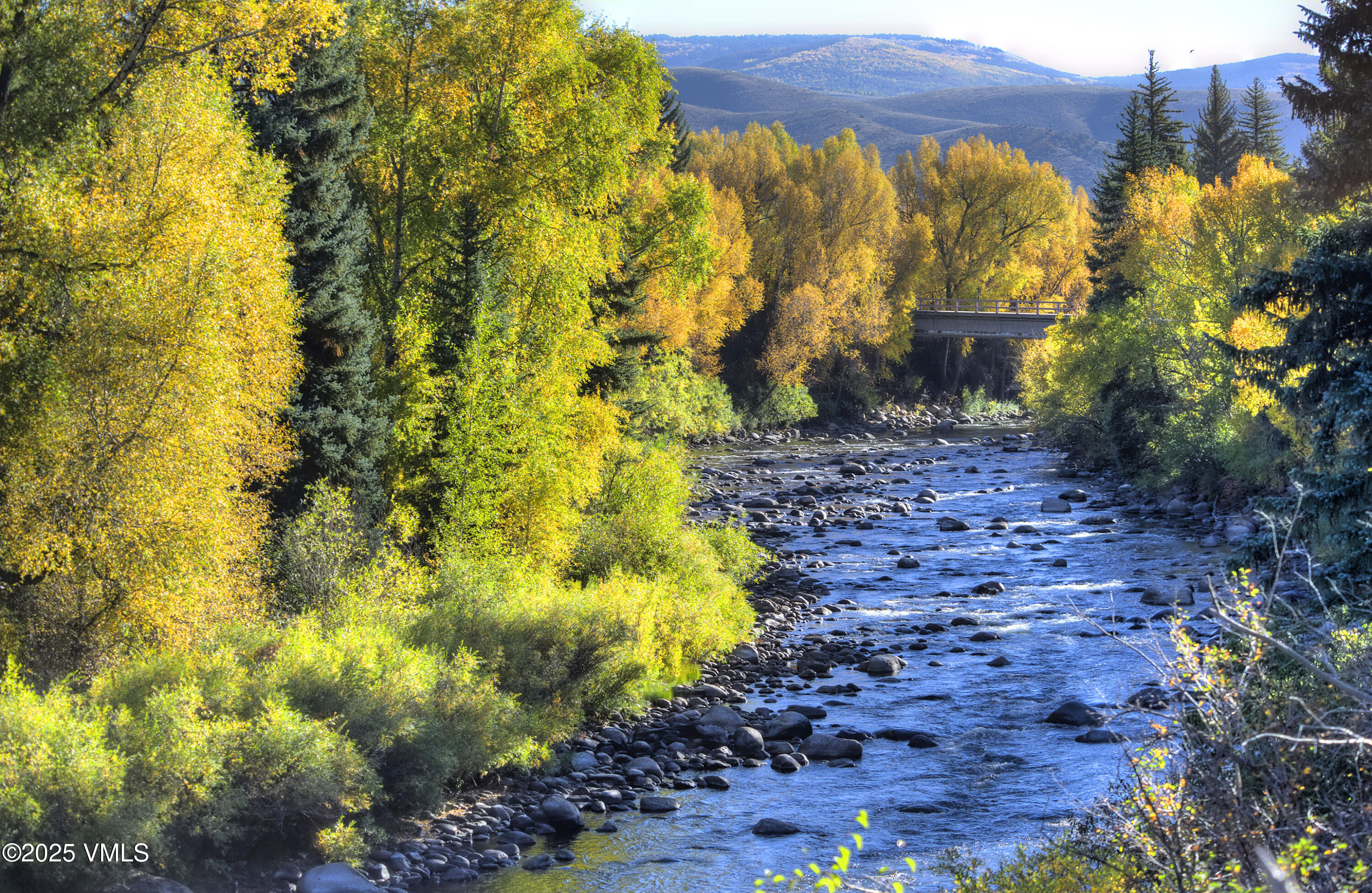 34999 Highway 6, Unit O303 Edwards, CO 81632 - Photo 35 of 35 a view of a yard with plants and large trees