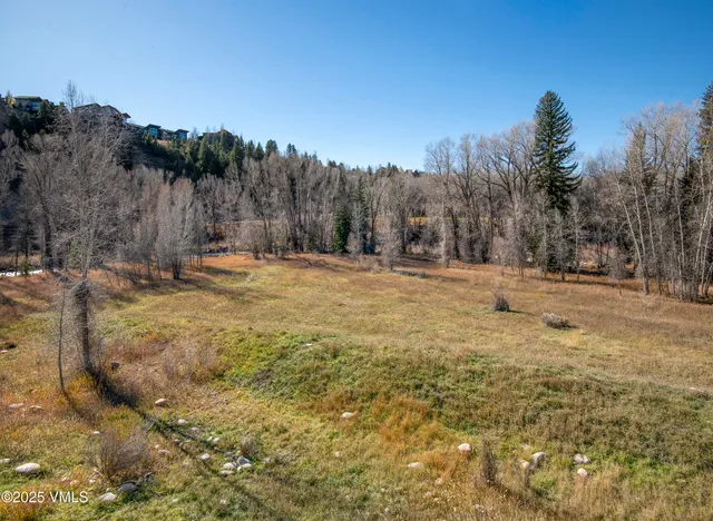 a view of road with large trees