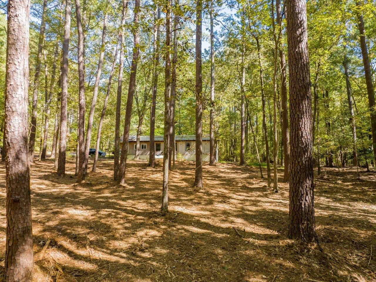 448 River Point Road Moncure, NC 27559 - Photo 39 of 57 Photo 39