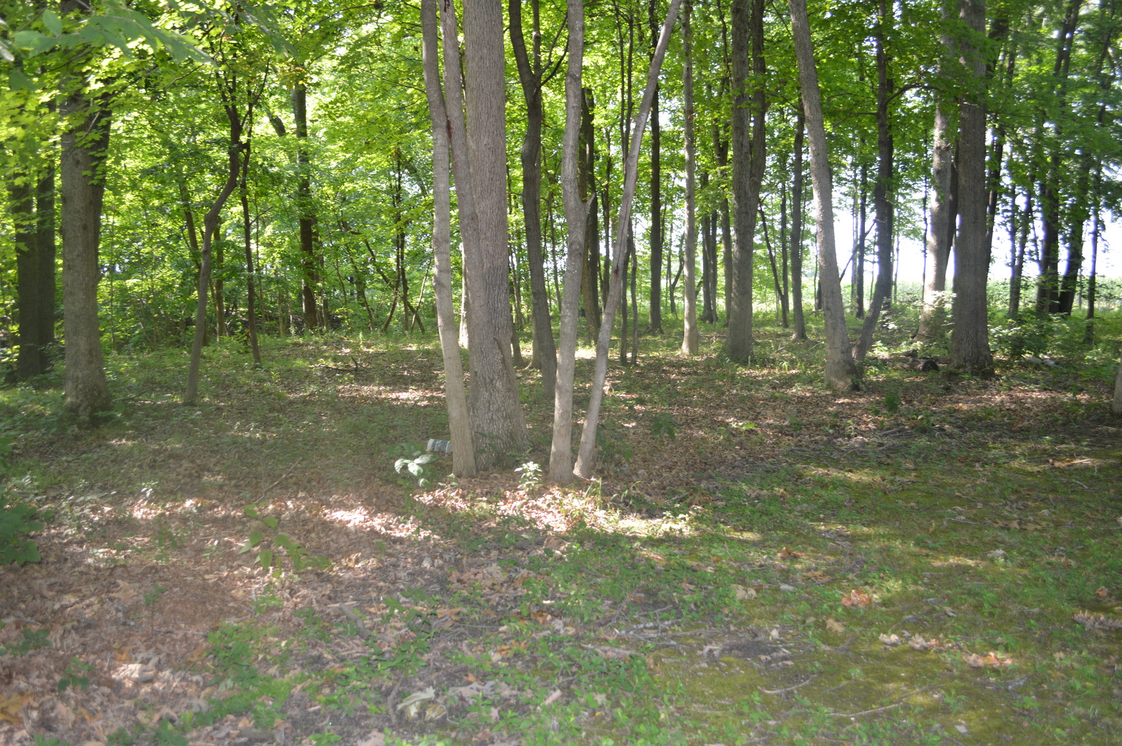 9519 Stagecoach Road Magnolia, IL 61336 - Photo 13 of 42 Gallery Image 13