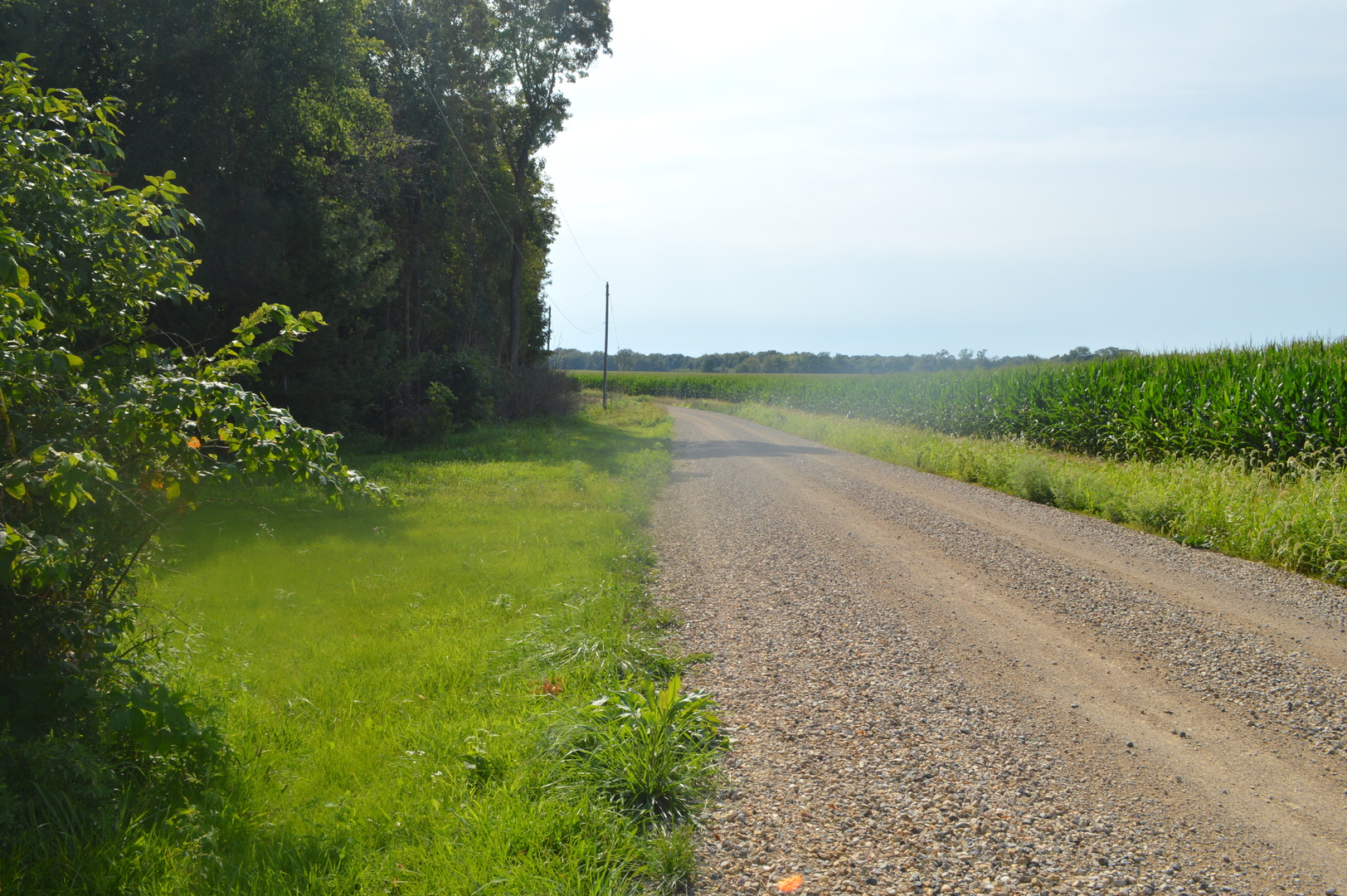 9519 Stagecoach Road Magnolia, IL 61336 - Photo 42 of 42 Gallery Image 42