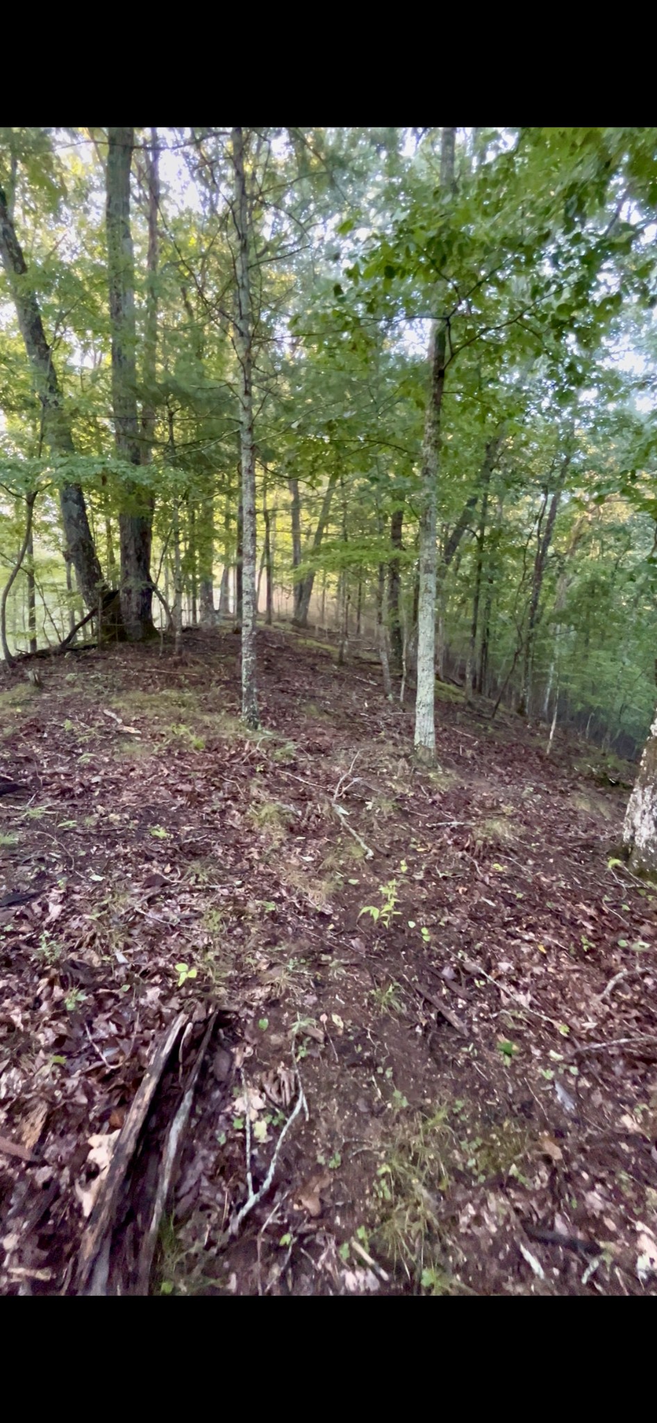 1 Lakeview Dock Road Bristol, TN 37620 - Photo 11 of 26 Gallery Image 11