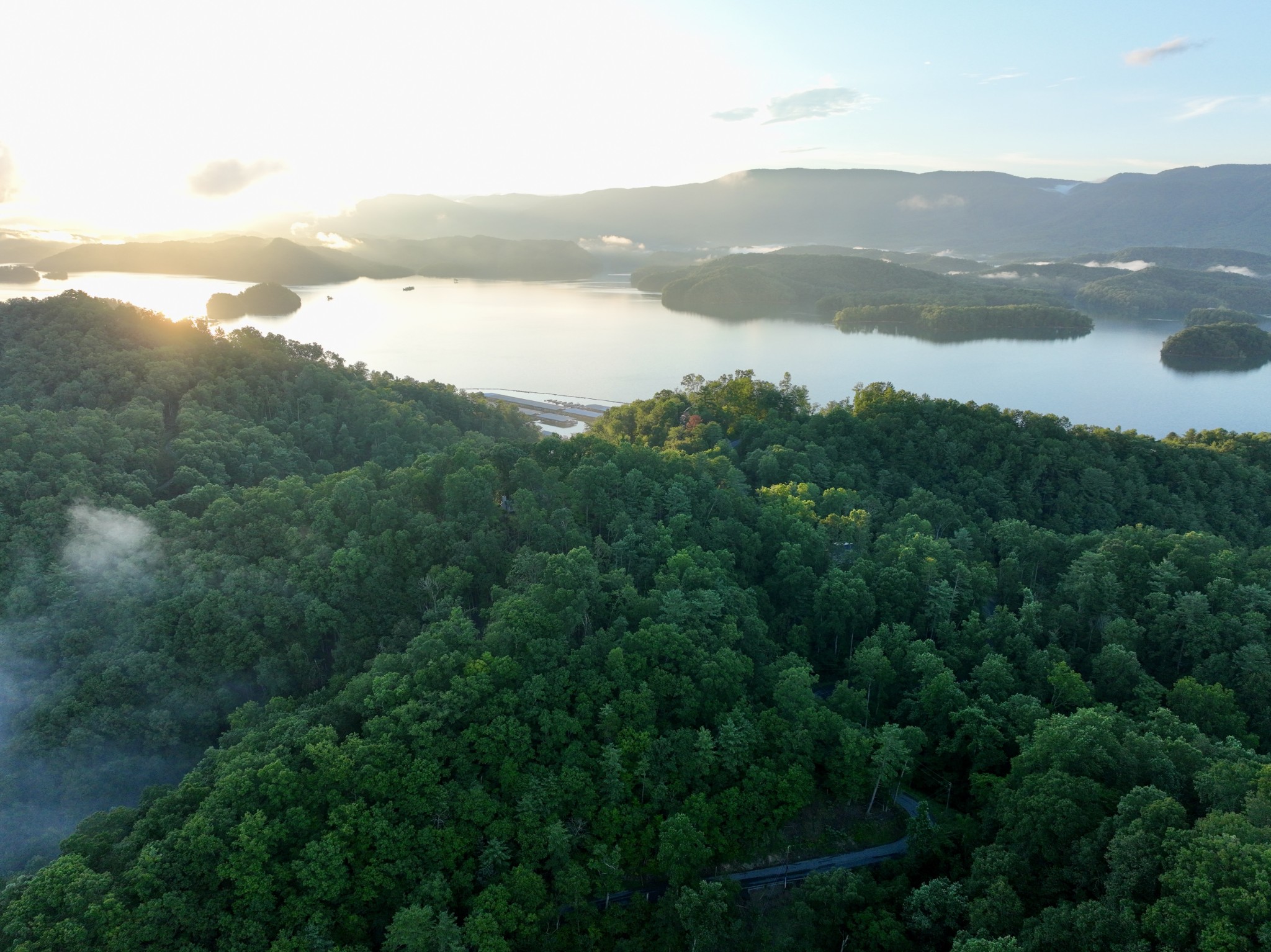 1 Lakeview Dock Road Bristol, TN 37620 - Photo 20 of 26 Gallery Image 20