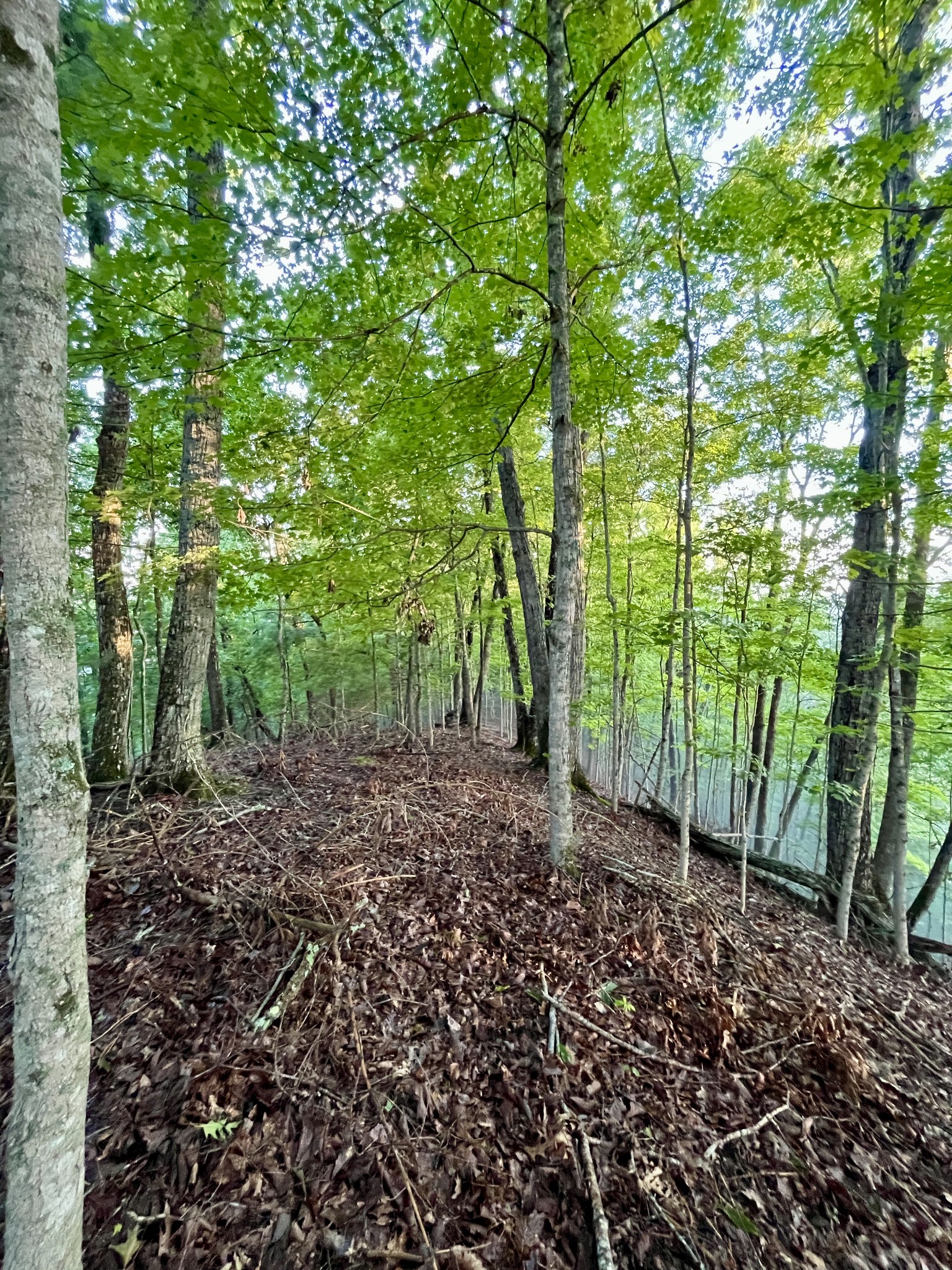 1 Lakeview Dock Road Bristol, TN 37620 - Photo 7 of 26 Gallery Image 7