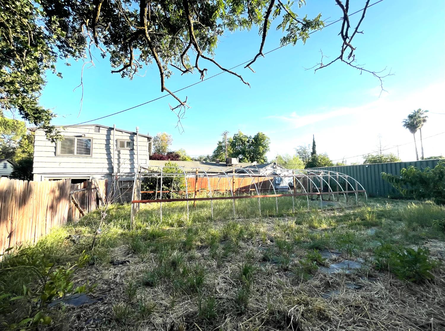 5121 Kenneth Avenue Carmichael, CA 95608 - Photo 29 of 38 a view of a yard with plants and a bench