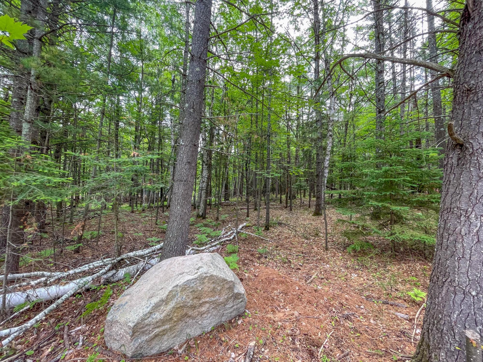 1-ac Bass Lake Loop Rhinelander, WI 54501 - Photo 8 of 16 Gallery Image 8