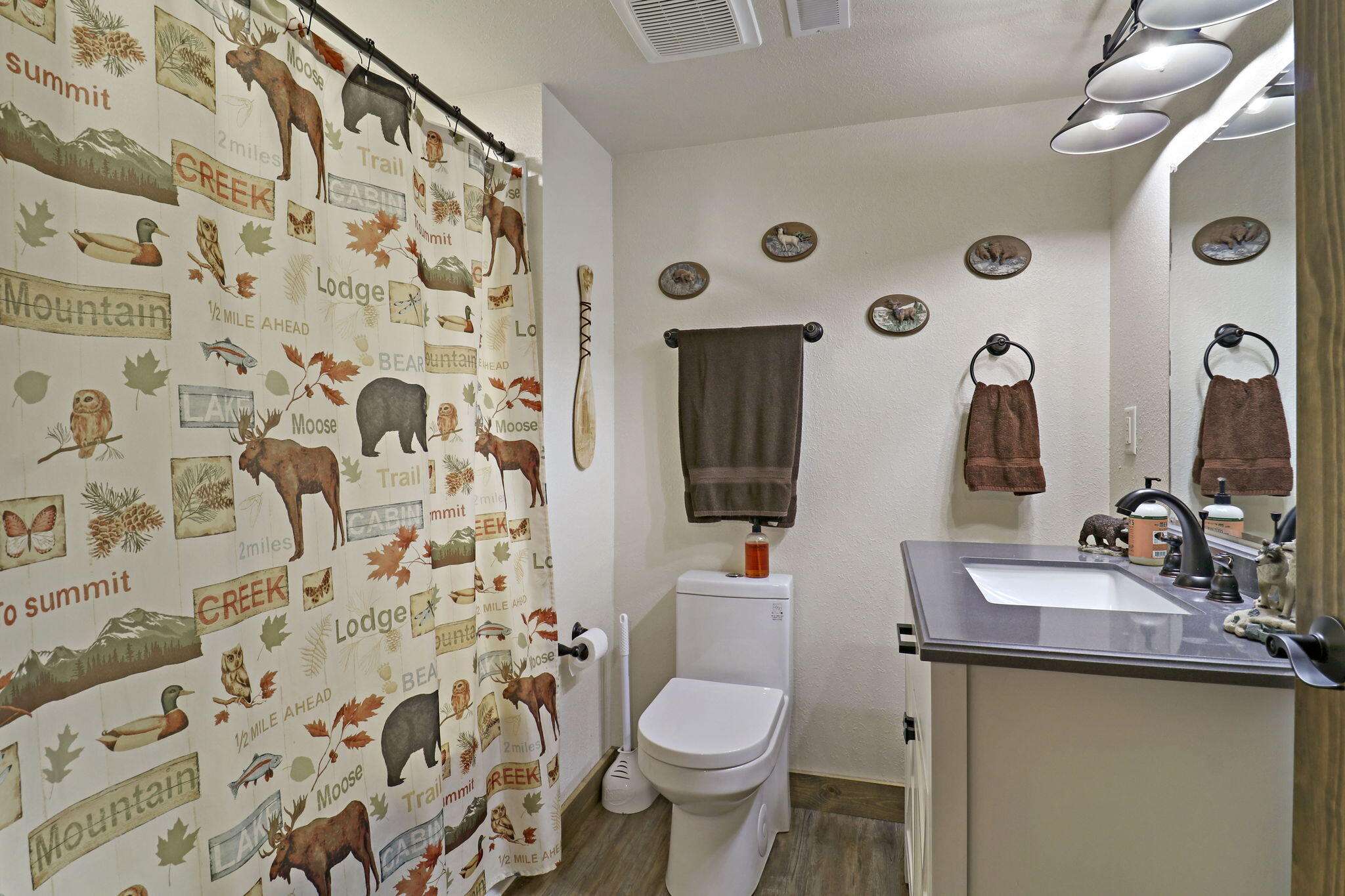 867 River Ridge Circle Waterford, WI 53185 - Photo 30 of 39 lower level bathroom