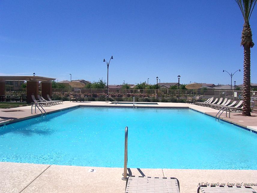 2047 South Colt Drive Gilbert, AZ 85295 - Photo 2 of 9 Pool