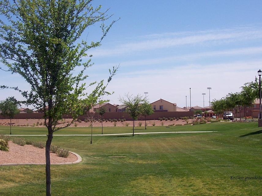2047 South Colt Drive Gilbert, AZ 85295 - Photo 3 of 9 Greenbelt
