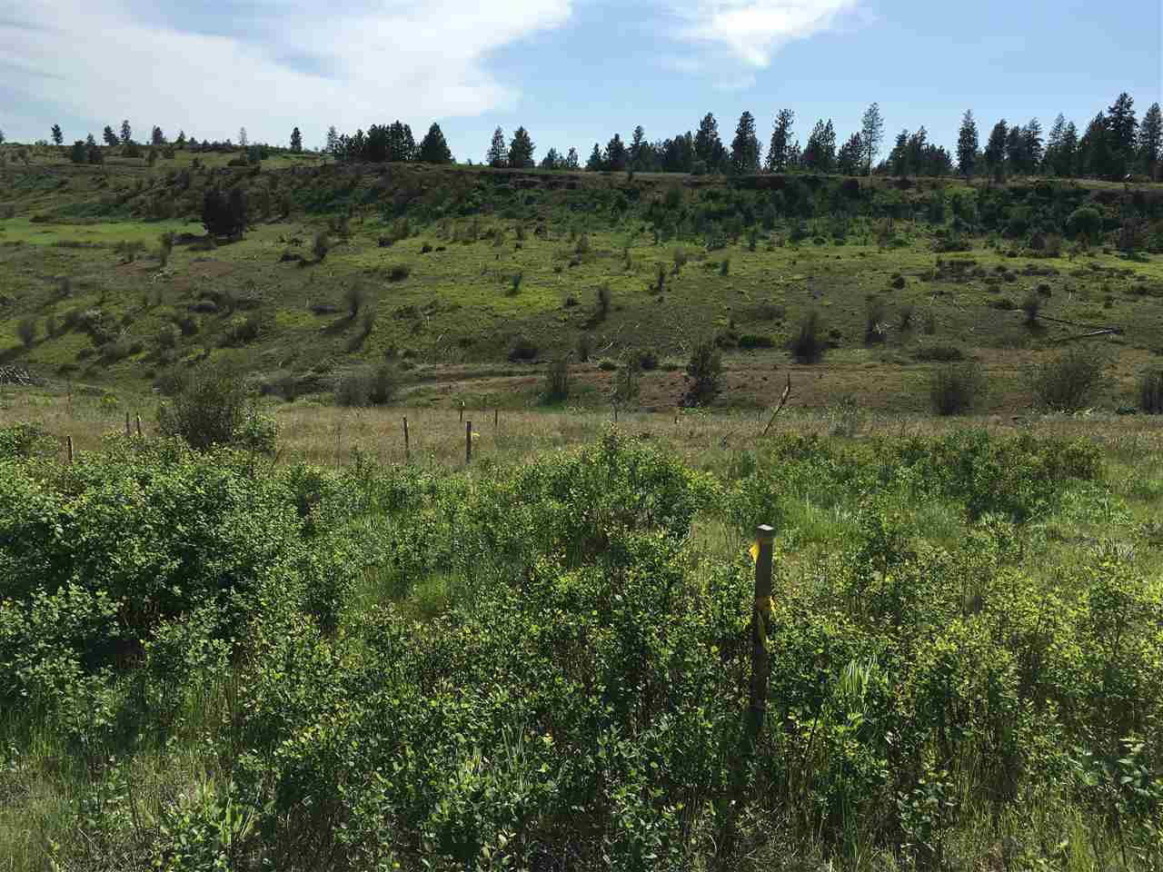 14000 West Tepee Road Spokane, WA 99224 - Photo 12 of 20